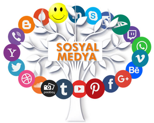 Adana sosyal medya danismani
